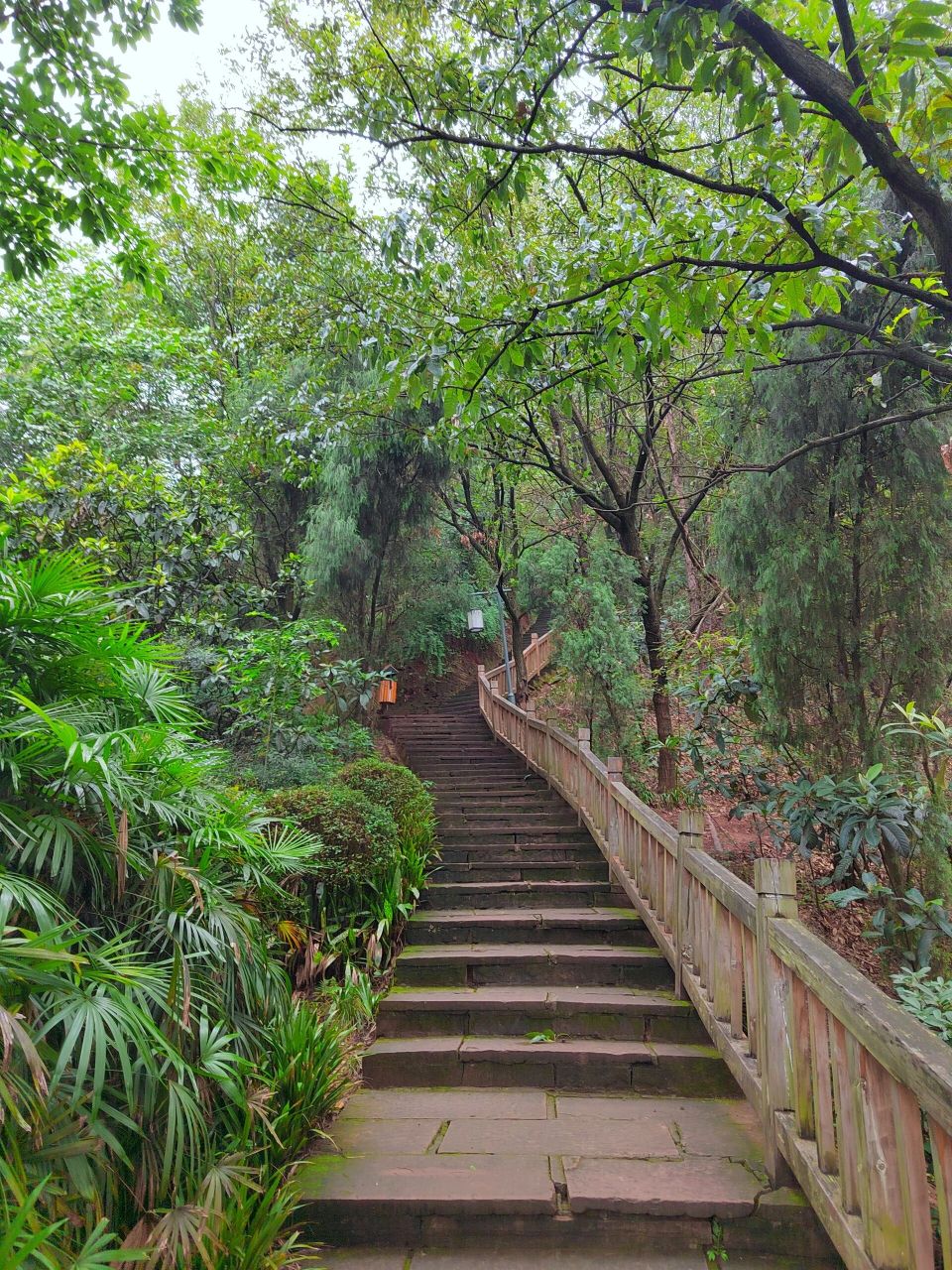 龙泉驿紫霞山风景区图片