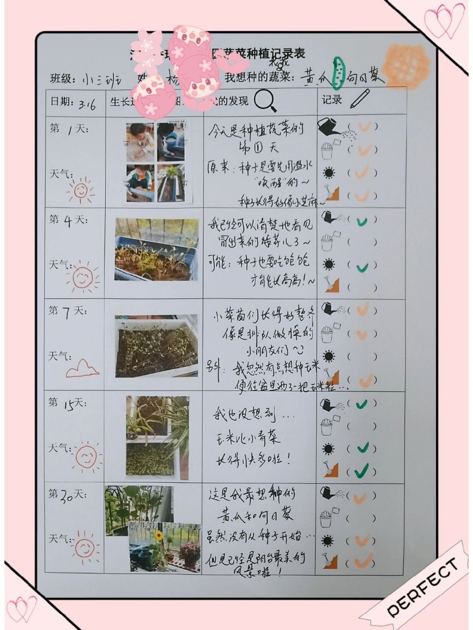 蔬菜种植记录表   ps:深圳有买房需求的宝宝也看看我卖房的贴吧