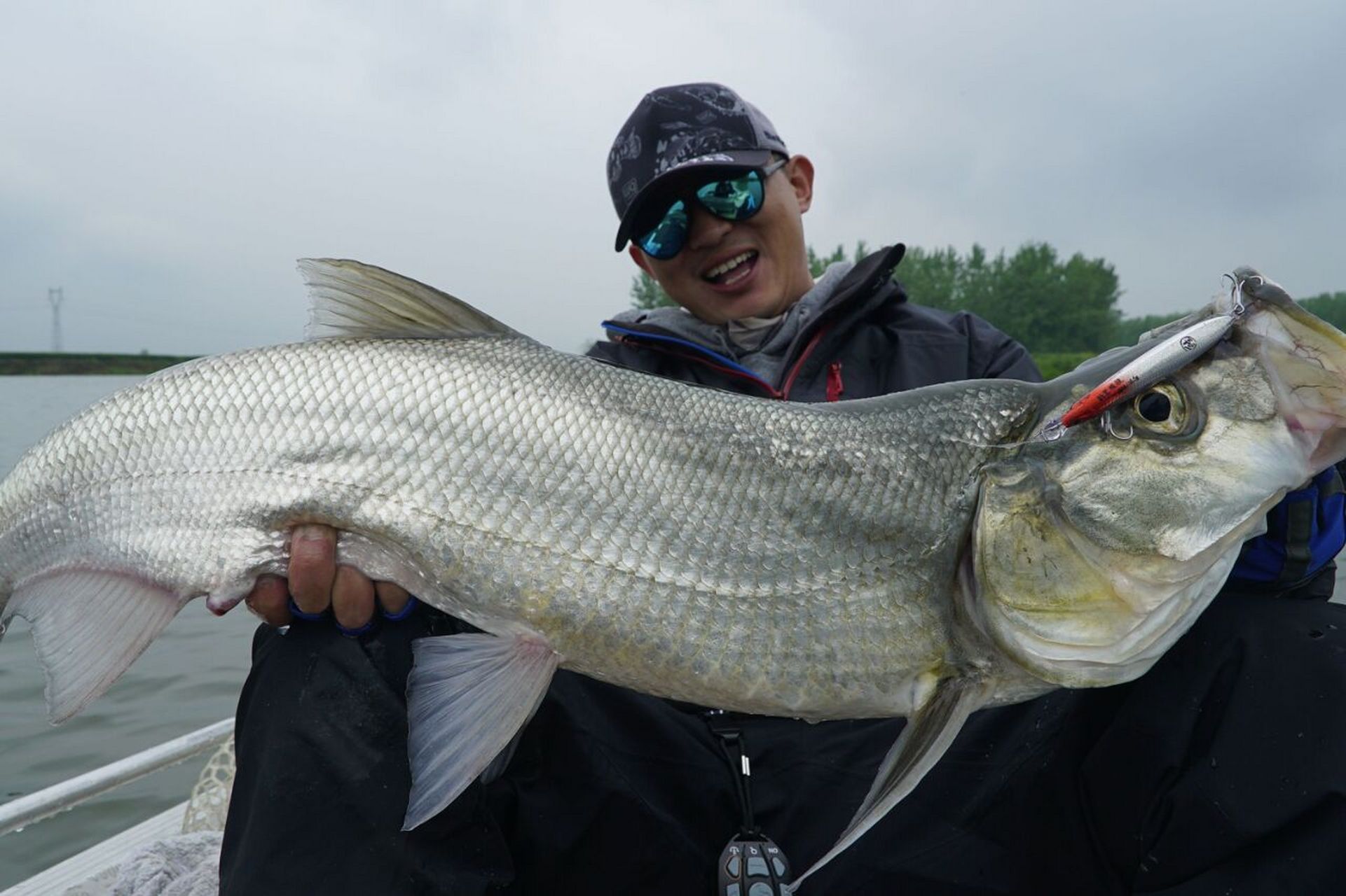 古代的白鱼就是现如今的翘嘴鱼,翘嘴鱼学名翘嘴红