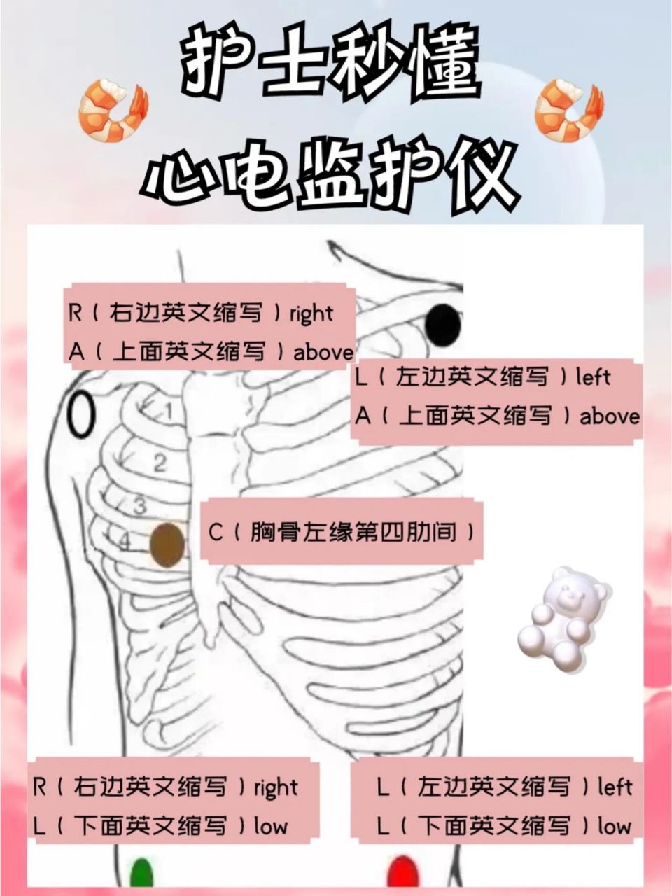 97护士97秒懂心电监护仪6015