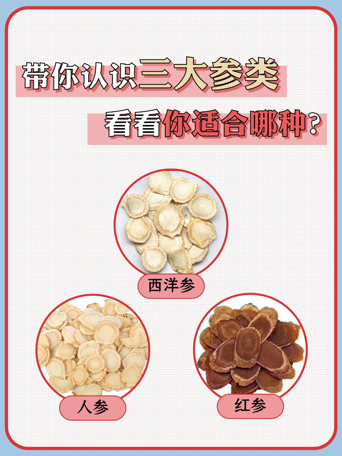 带你认识7715西洋参|人参|红参7715哪种适合你71