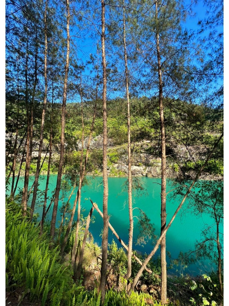 自贡|双河口水库 又是和大自然做朋友的一天98 双河口加上好天气就