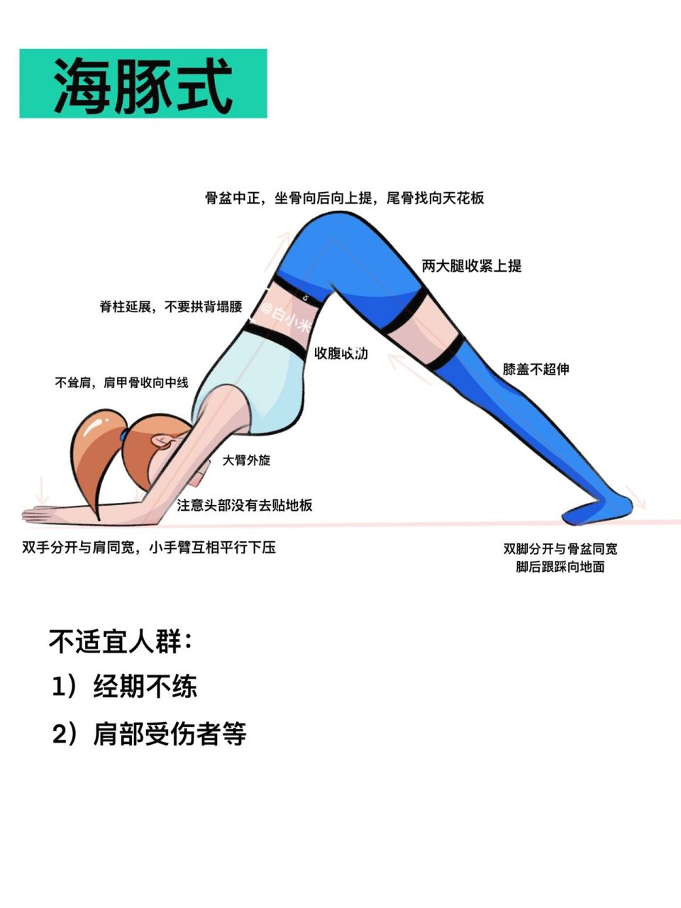 瑜伽插画|瑜伽体式精讲笔记—海豚式 注意的点: 1)是否耸肩?