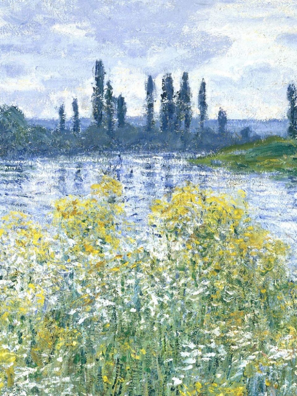 你知道莫奈的画作有哪些——第51幅 98名       字:《维特伊附近