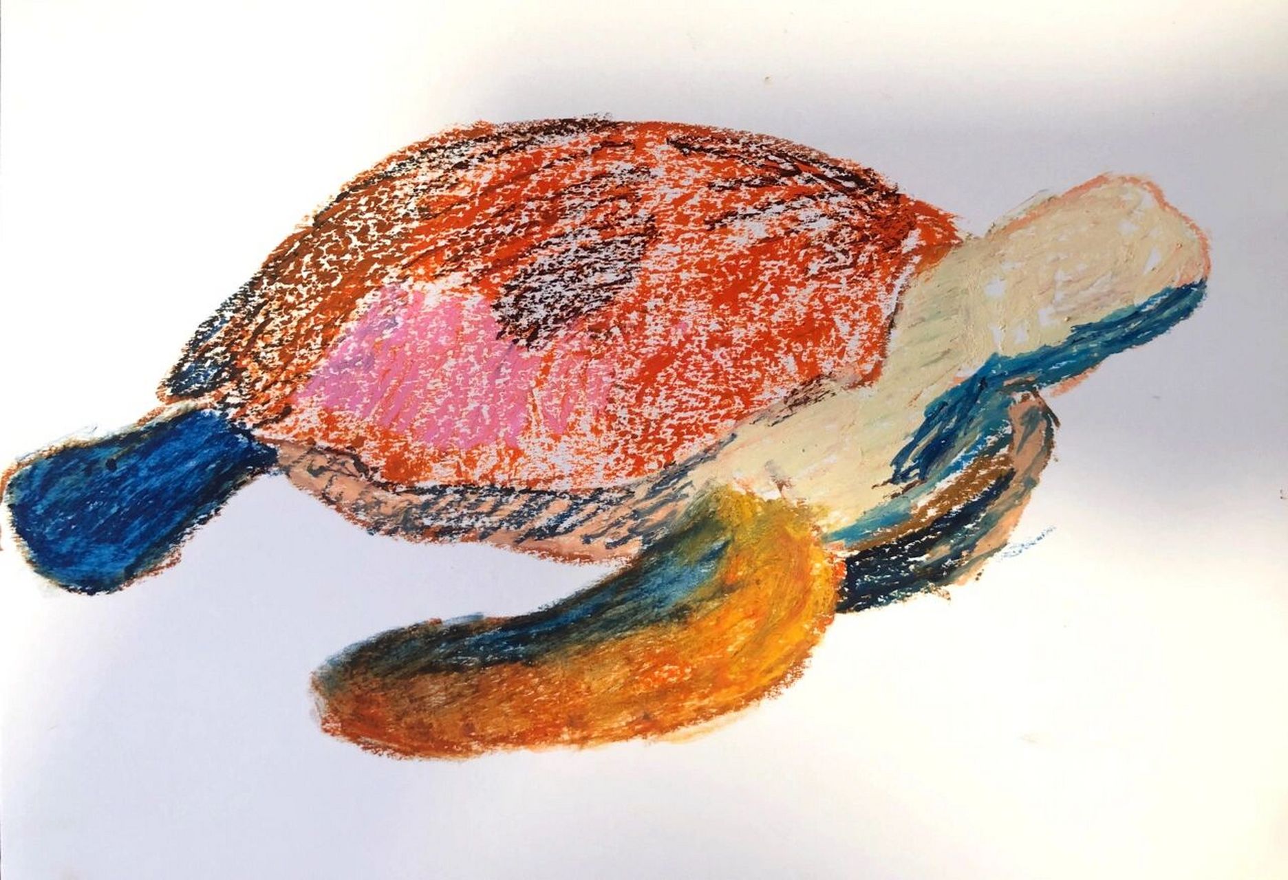 《海龟》重彩油画棒 附简单步骤图和学生作品 8215刚开始画海龟的