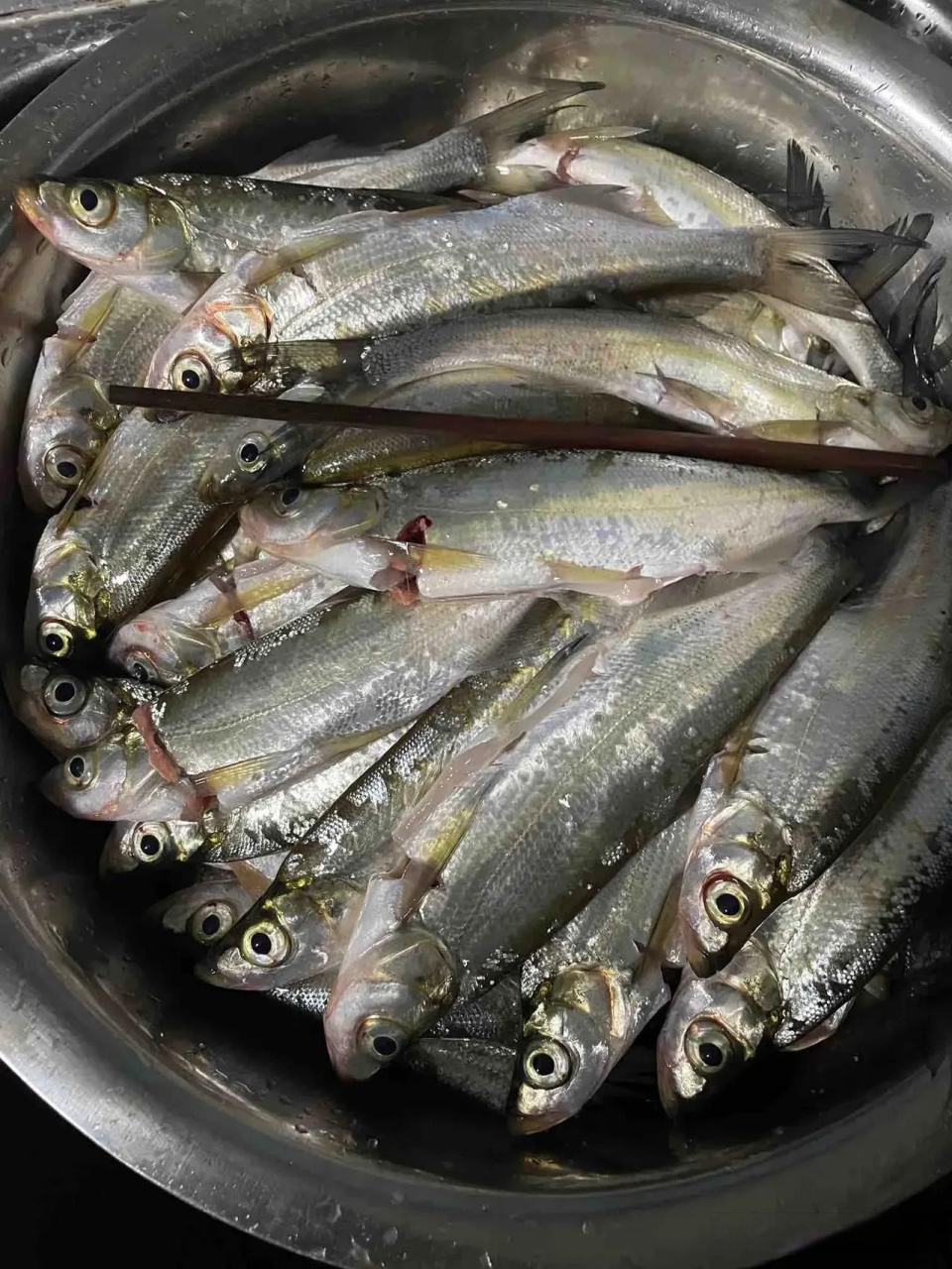 很难收拾,收拾了一个多小时,感觉肉很少,而且全是刺,这鱼怎么吃啊?