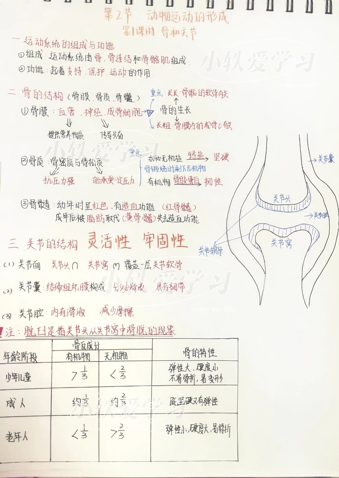 八年级上册生物笔记