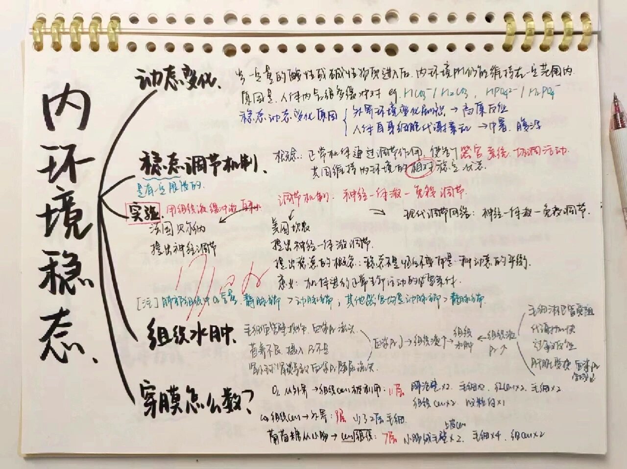 包含高三生物思维导图（细胞/遗传/稳态/生态）的词条