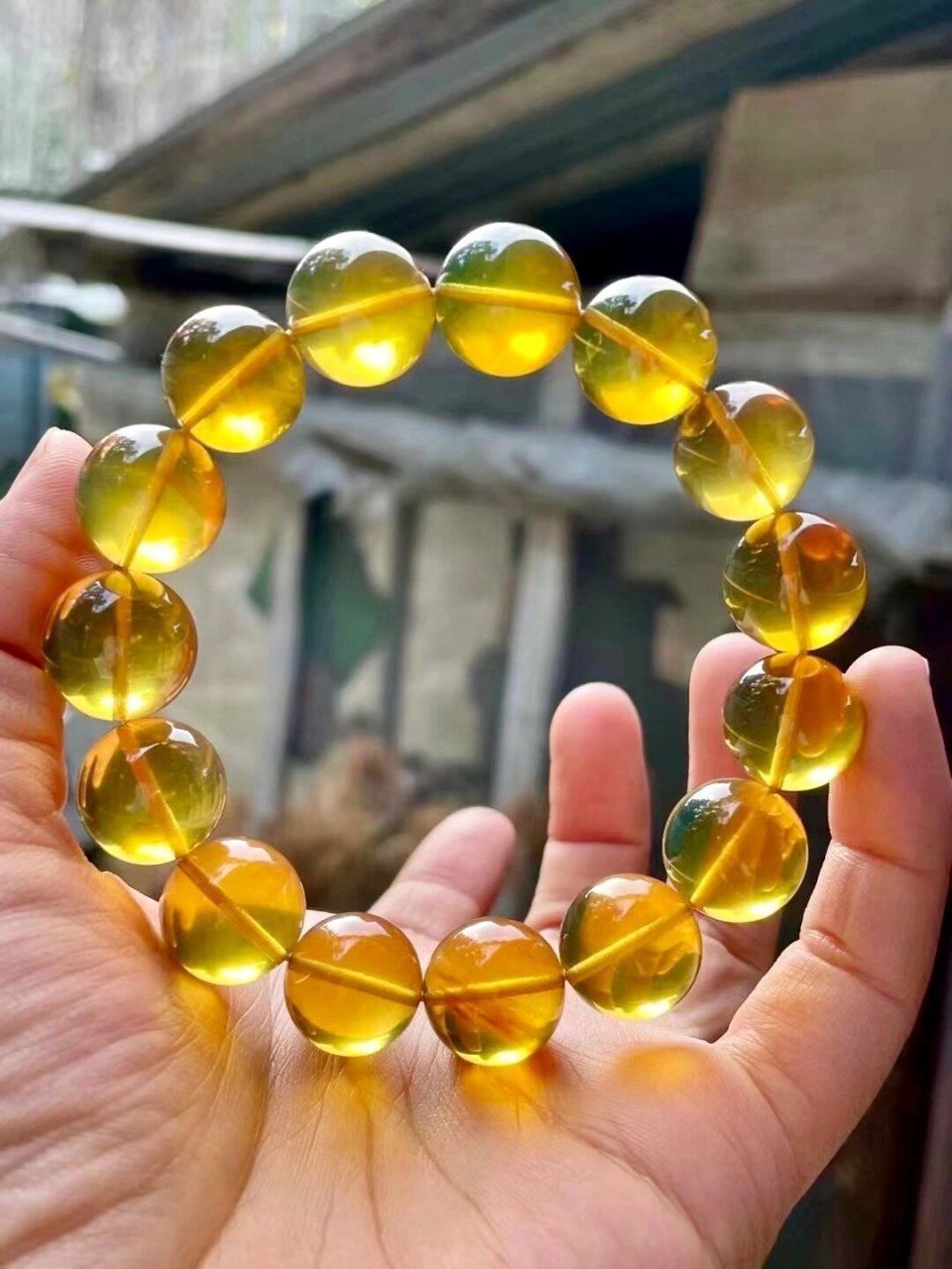 缅甸琥珀金棕珀 ?