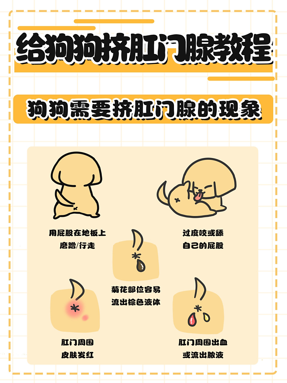 铲屎官须知:狗狗挤肛门腺教程 铲屎官须知:狗狗挤肛门腺教程