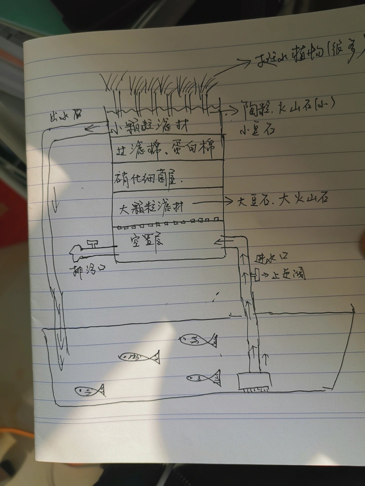 沼泽过滤原理图图片