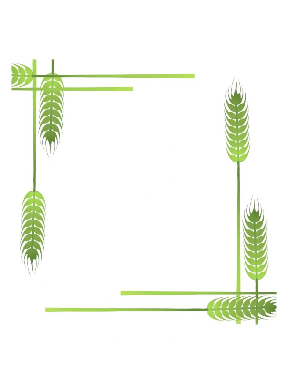 免抠边框 |麦穗创意边框素材 立夏了,麦子也抽穗了,你见过风吹麦浪的