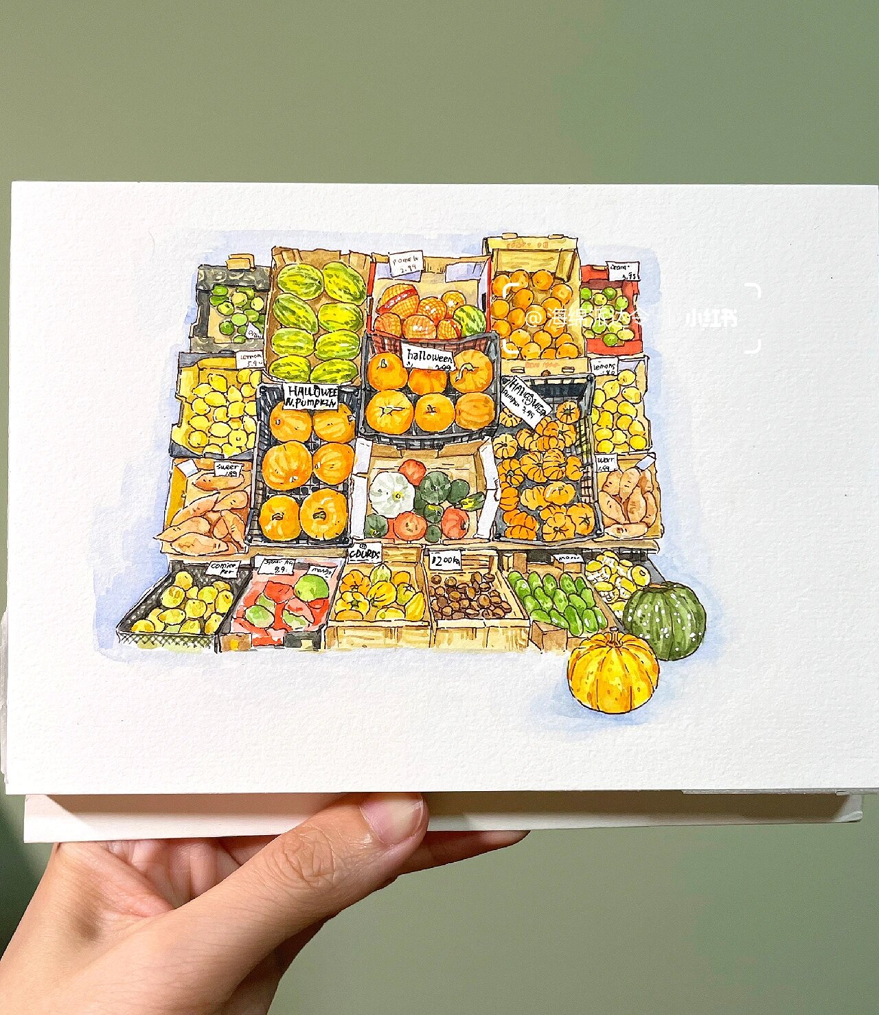 淡彩手绘|夏日水果摊039293(附线稿)