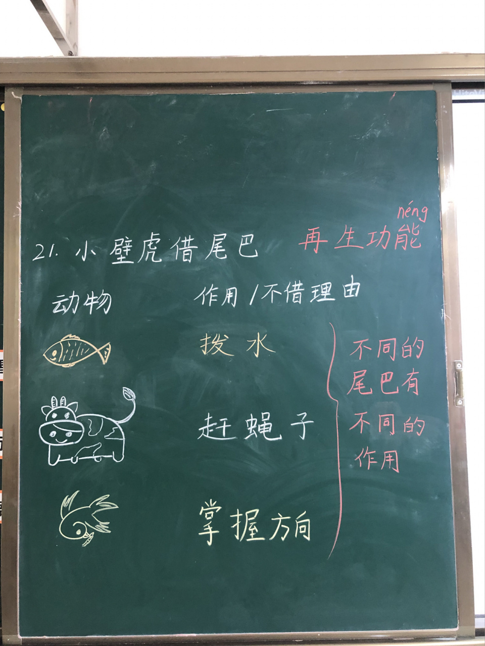 小壁虎借尾巴板书设计 最后一课啦!还有语文园地就ko了哈哈哈!