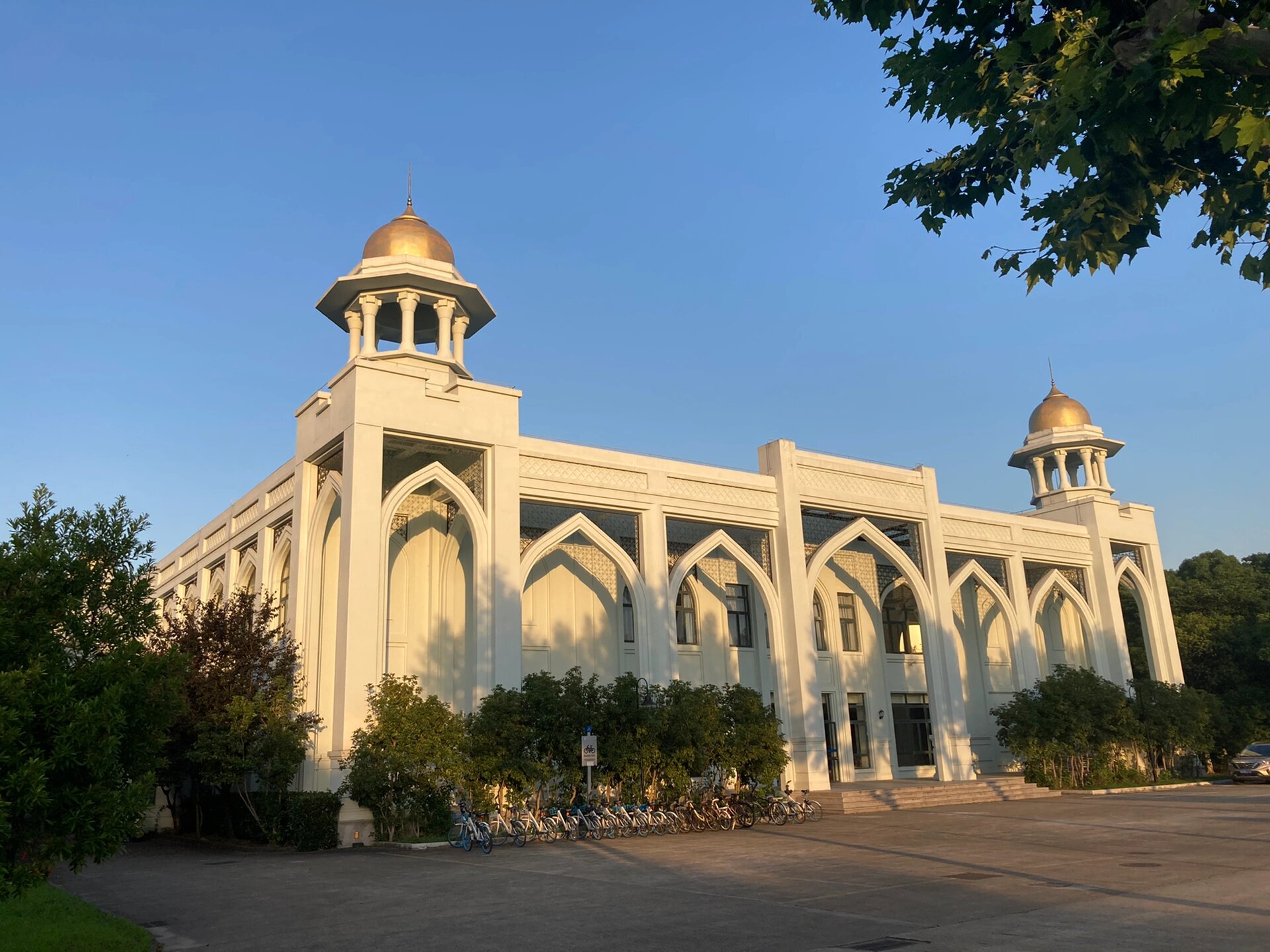 上海外国语大学 风景图片