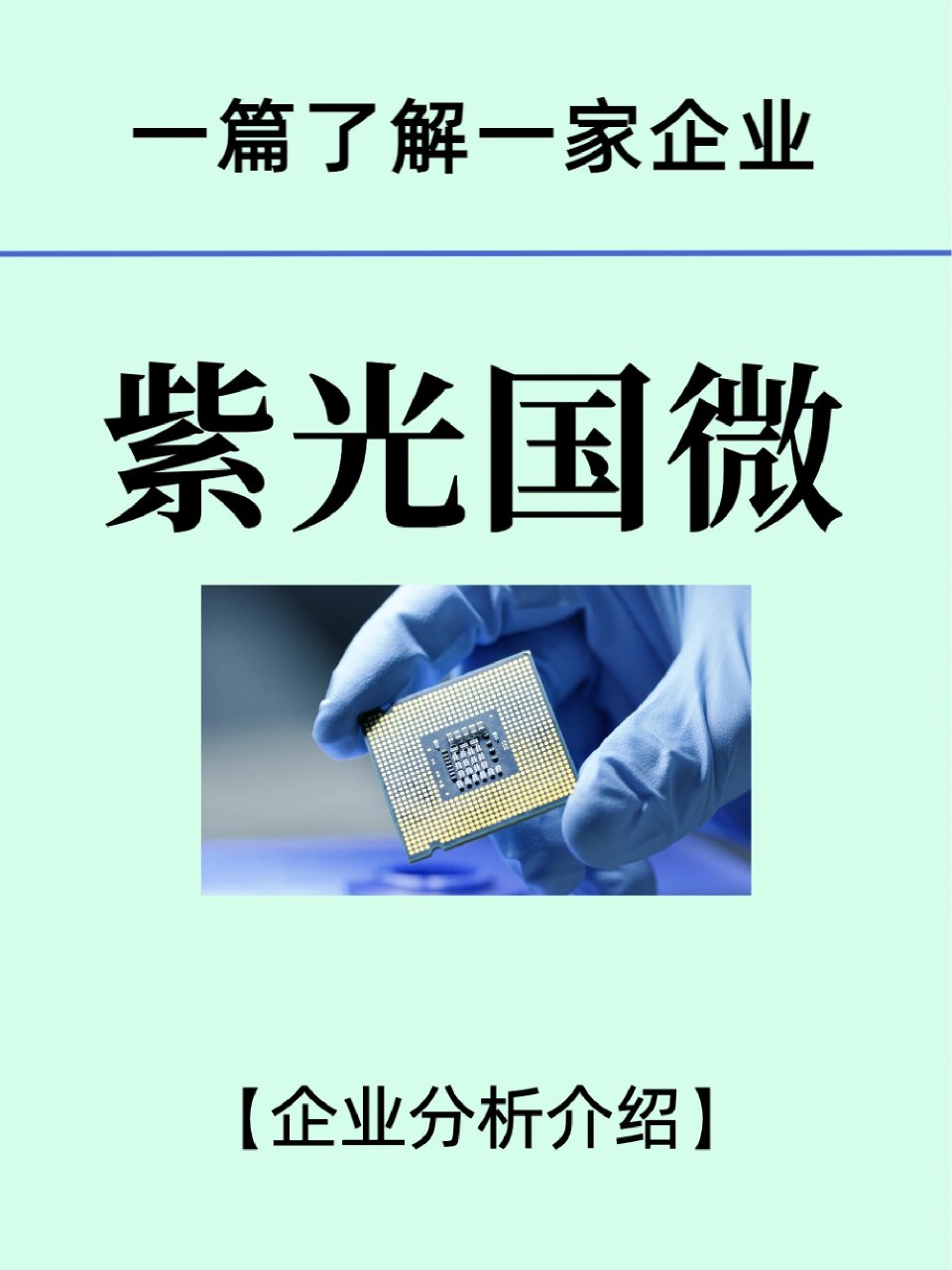 集成电路明星企业紫光国微紫光国微业务矩阵 以特种集成电路,智能