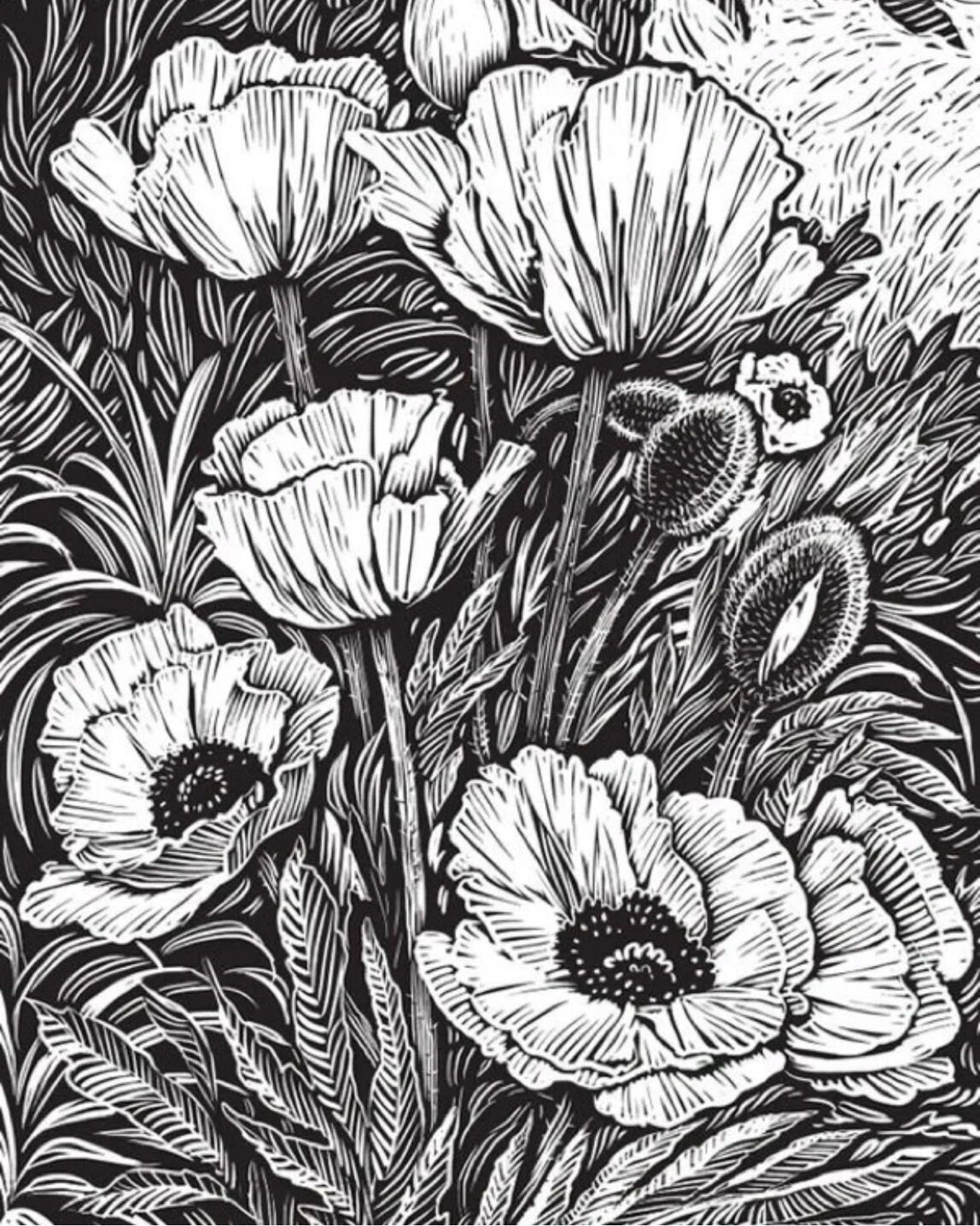 版画系列组合初中作品