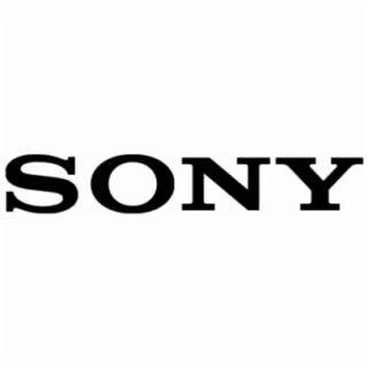 sony (索尼): 成立于1946年,现世界第一大游戏公司,其明星play