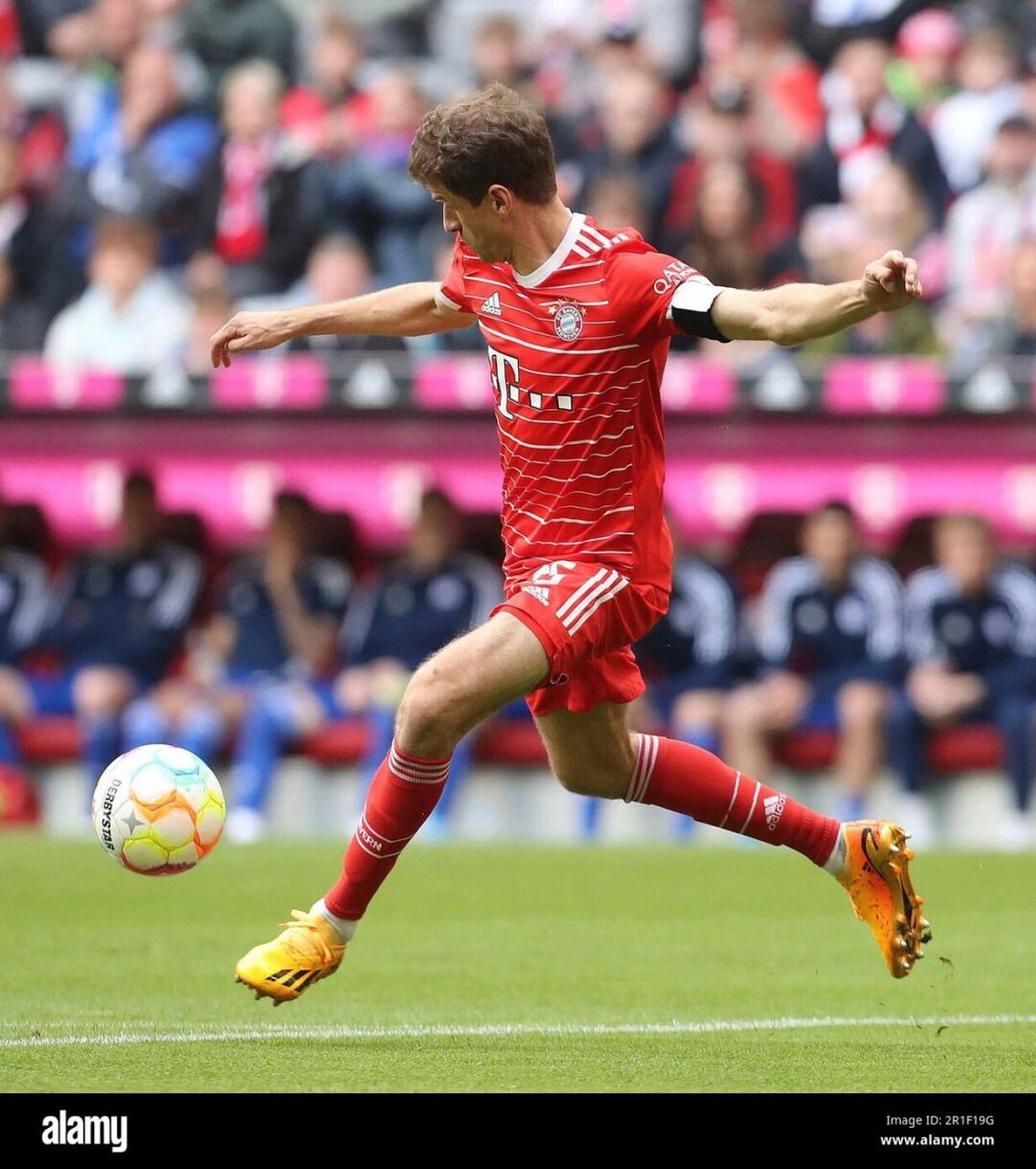 距离队史纪录仅差2场 德甲第32轮,拜仁慕尼黑主场6-0击败沙尔克04,本