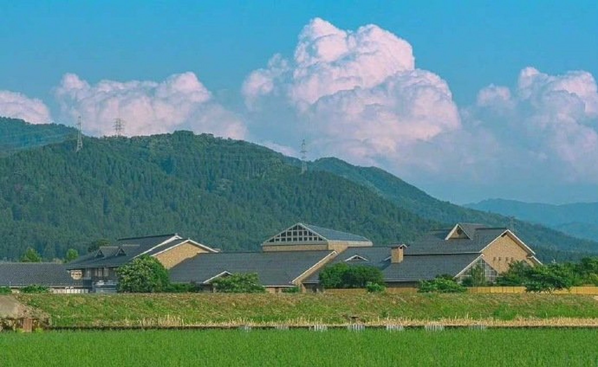 ﹊﹊﹊﹊    放平心态,照顾好自己,笑容灿烂,尽最大努力,好好地生活