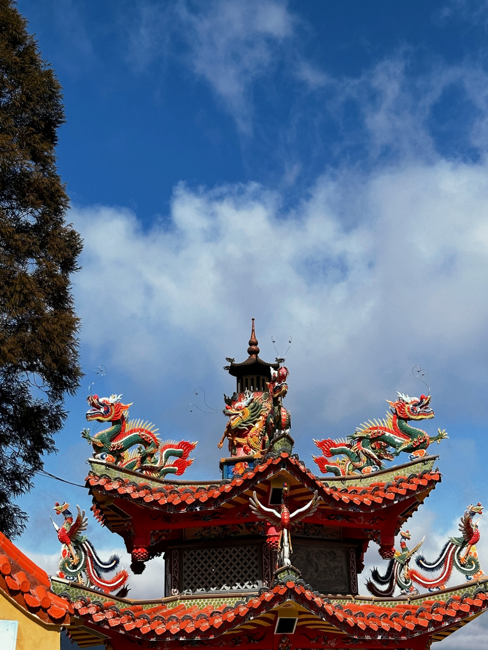 天宫山龙岩图片