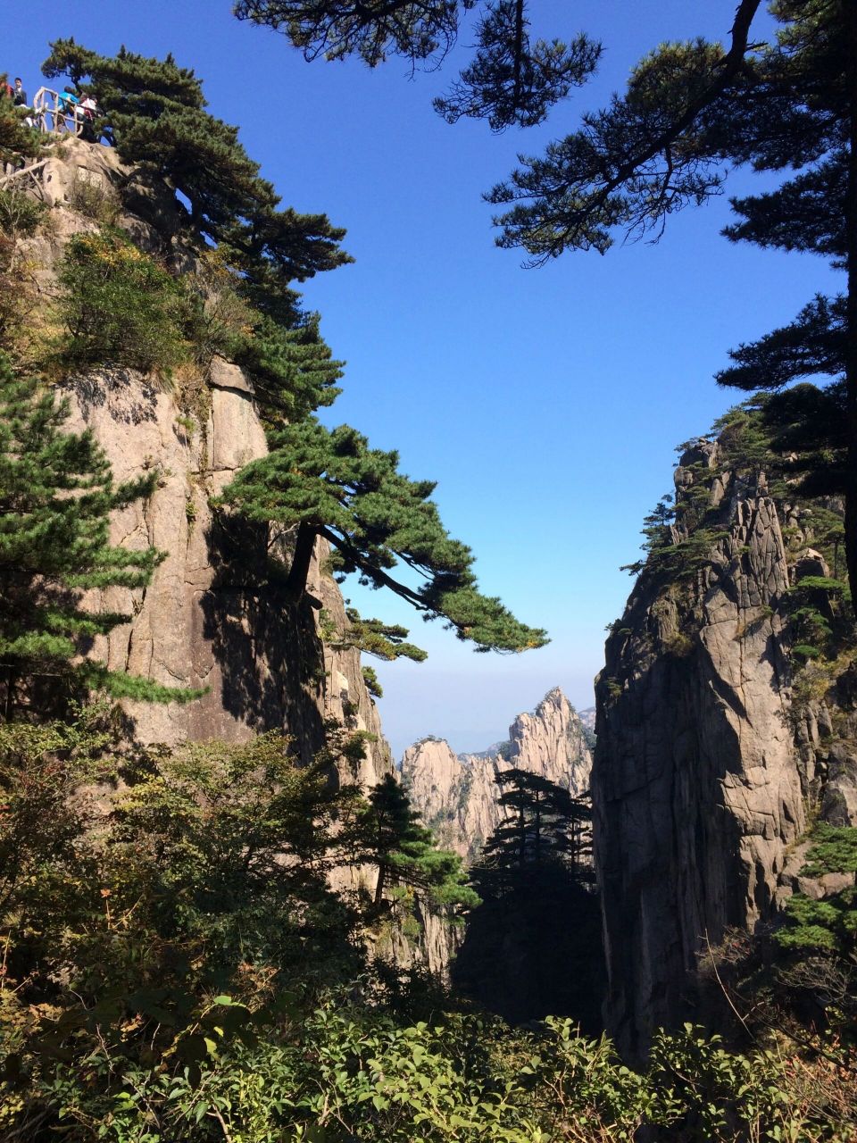 安徽黄山·黄山风景区 99安徽省黄山市黄山区汤口镇汤泉路1号  91