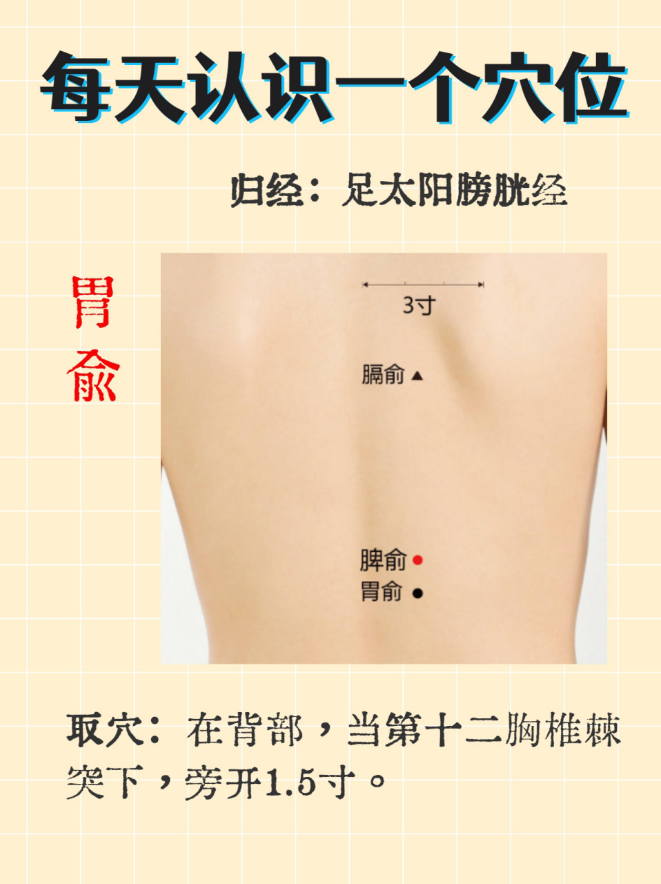 每天认识一个穴位