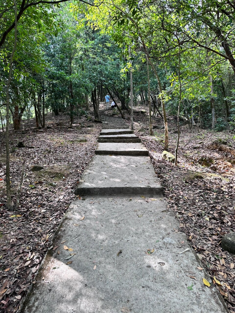 仙灵棋山爬山攻略 仙灵棋山 厦门仙灵祺|新手友好徒步路线 仙灵棋海拔