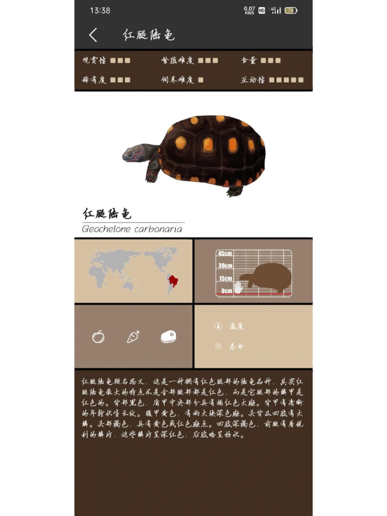 分享9种常见陆龟品种