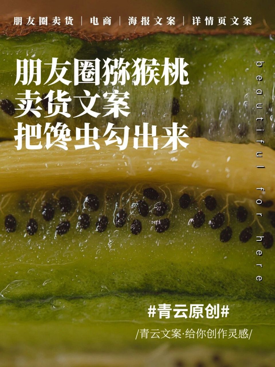 嗨喽,你好我是青云呀~ 上次答应粉丝的猕猴桃文案 必须安排,你想要