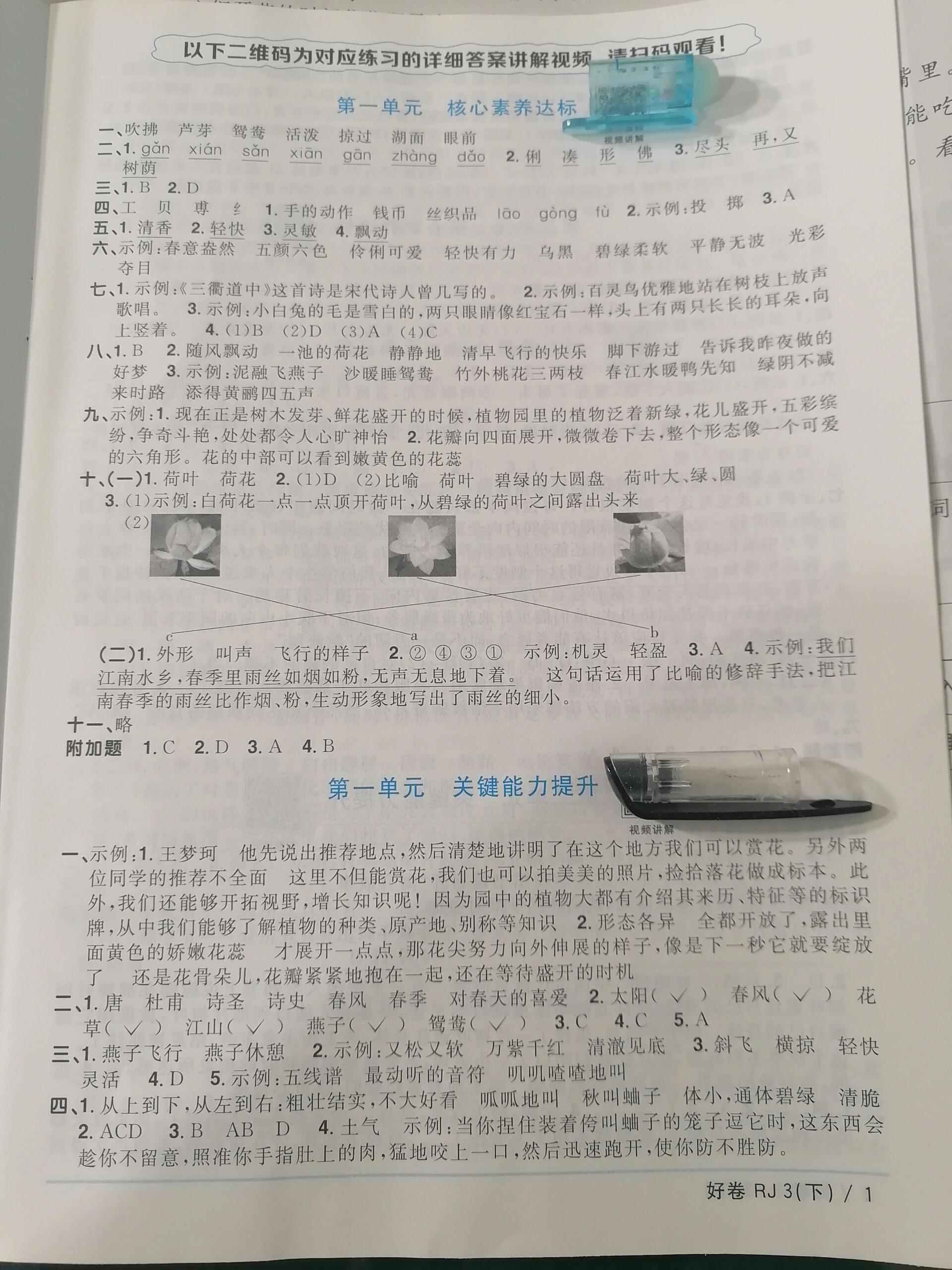 阳光同学全优好卷语文三下答案