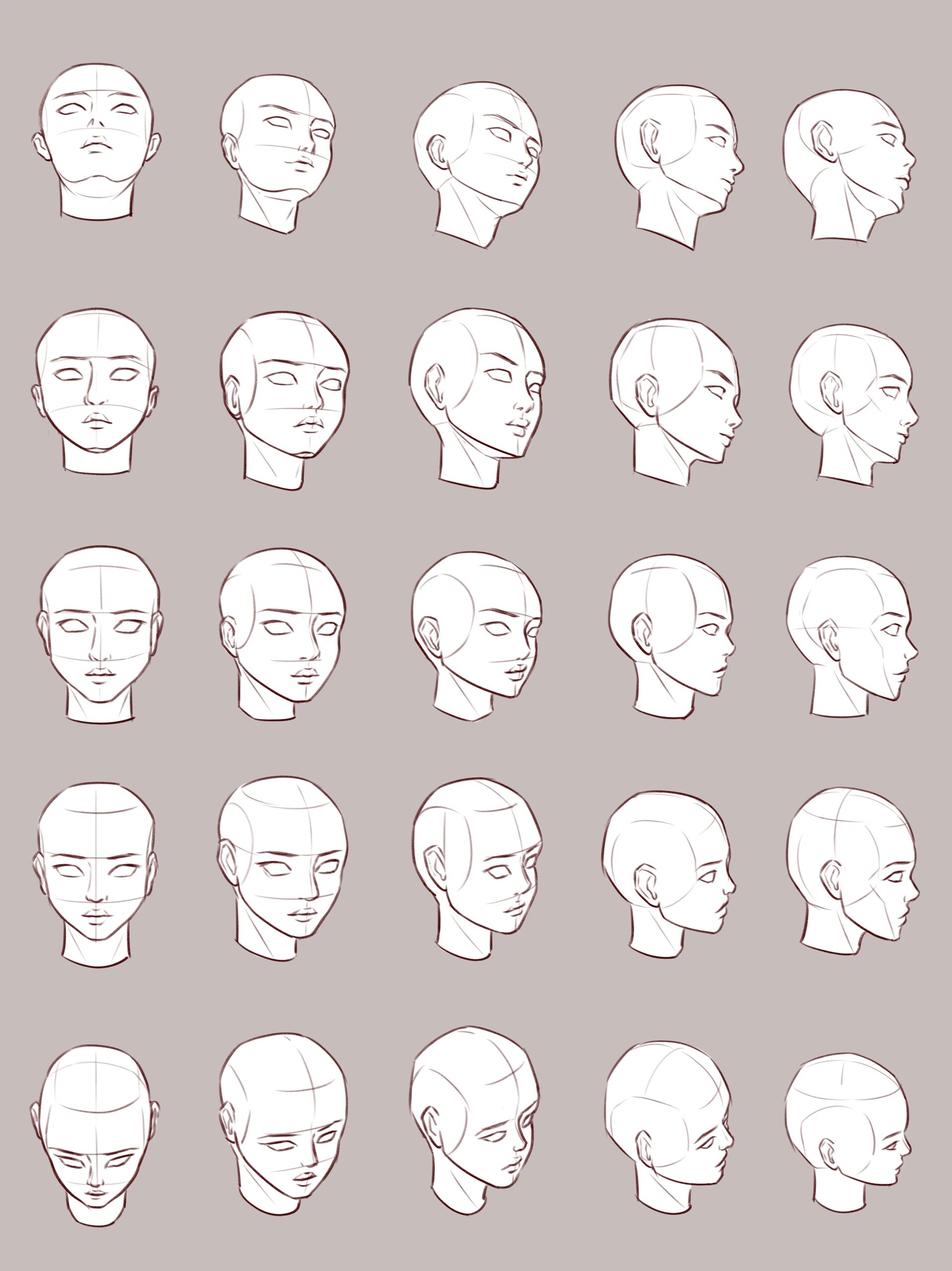透视练习-人体头部多角度