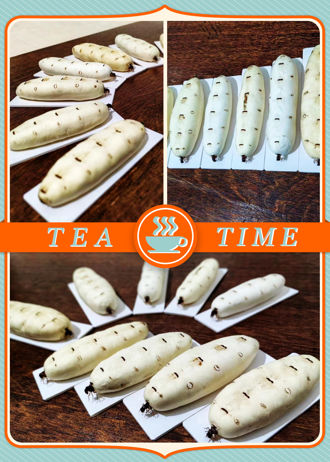 非洲大白蚁,是一种生活在非洲的大型白蚁,主要分布在撒哈拉以南的非洲