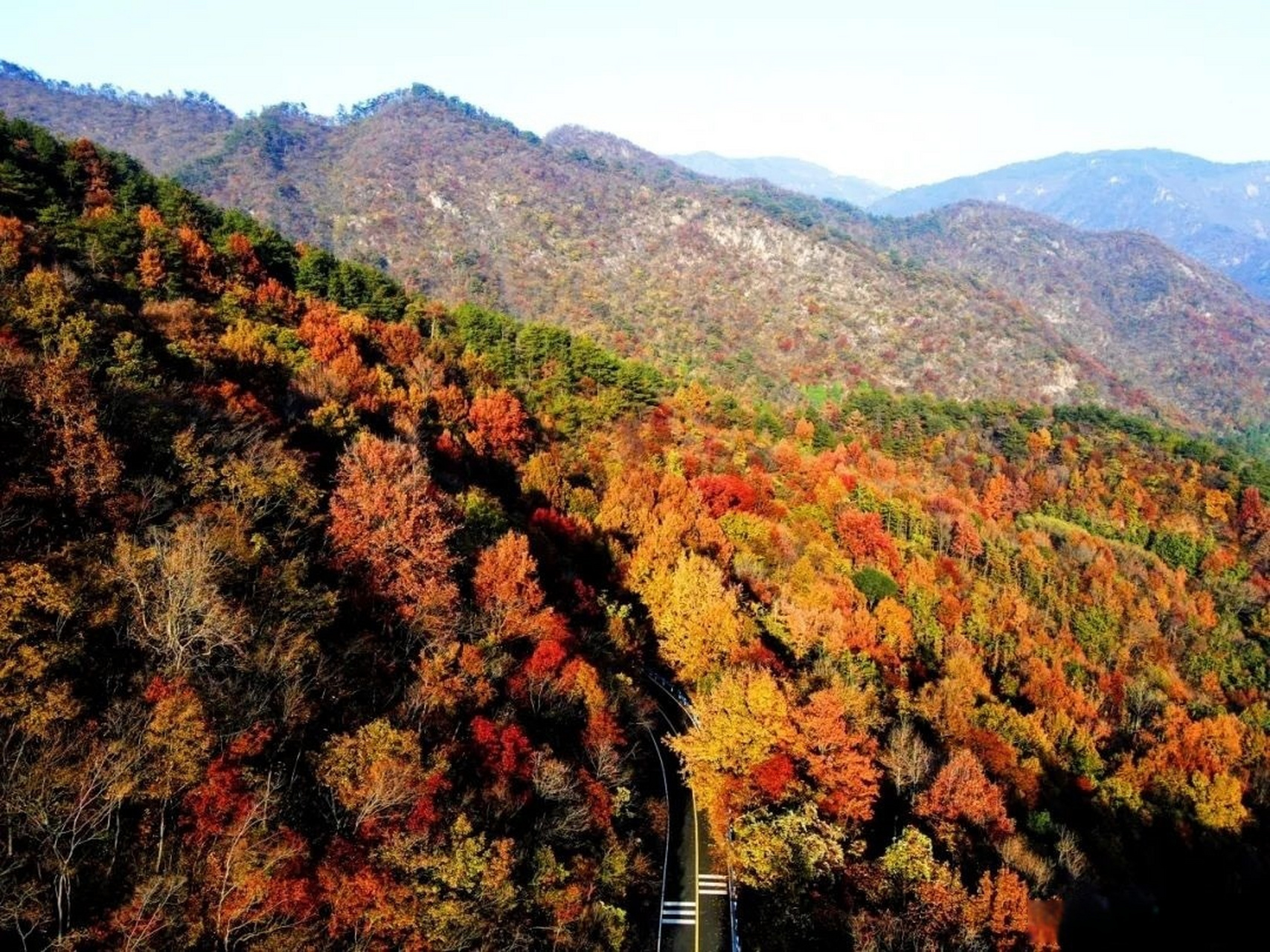 图说|新县:连康山冬日景色美#美在信阳# (新县融媒体中心)