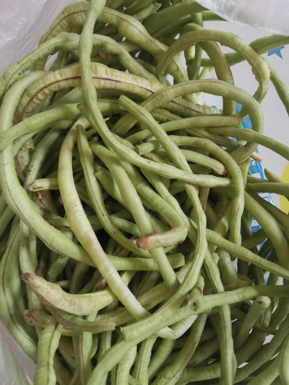 鸡枞菌,市场买的,10块钱一斤,我讲到9块,前几天自己山上采的不太放心