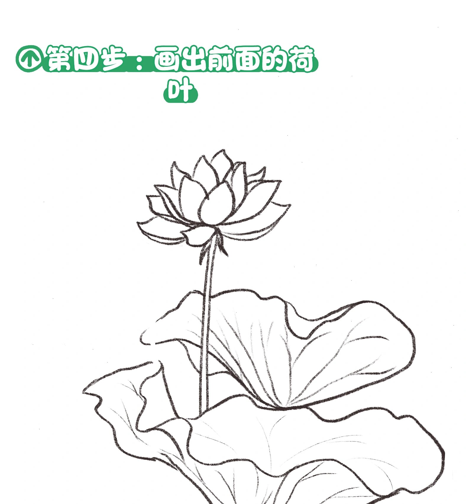 适合小孩纸画的荷花简笔画教程来啦