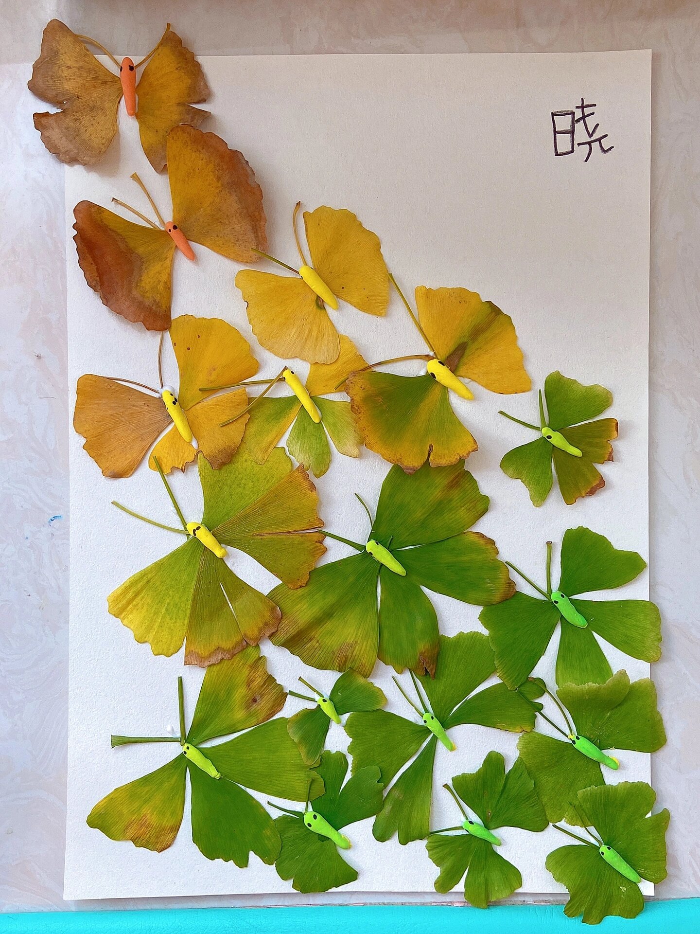 【画画】树叶画(一)——蝴蝶