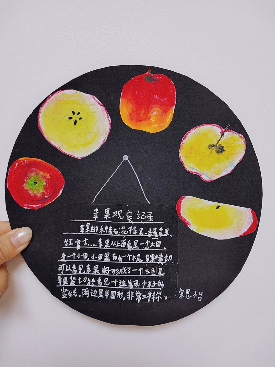 观察记录卡片的图片(观察记录卡的内容怎么写)