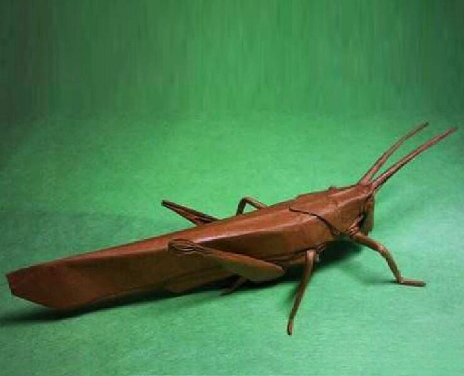 折纸brianchan蝗虫教程图解 还原度很高的一款折纸蝗虫 步骤还行行但