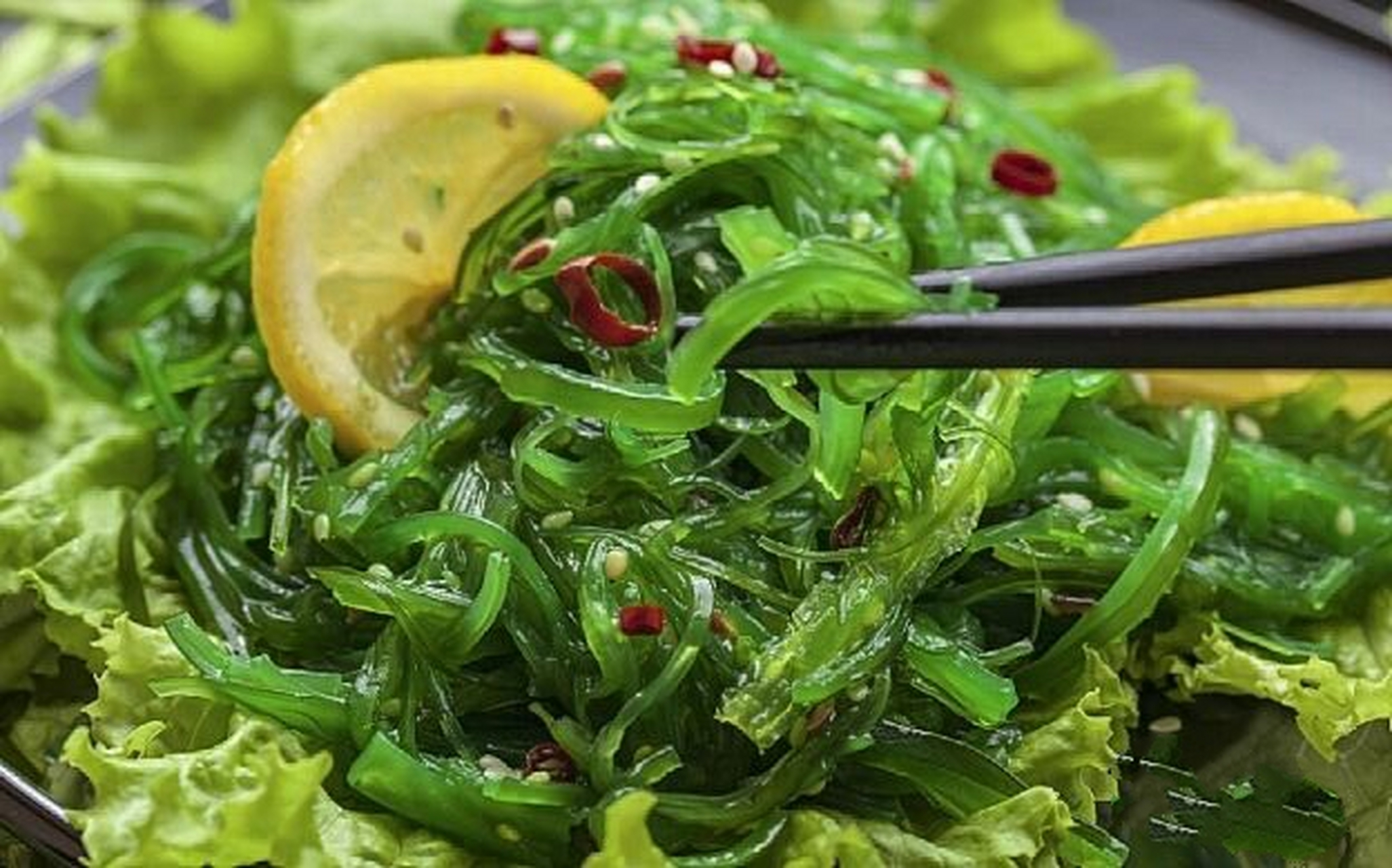 关于海藻的营养小知识 天气热了,最近小编很喜欢凉菜,其中凉拌海藻