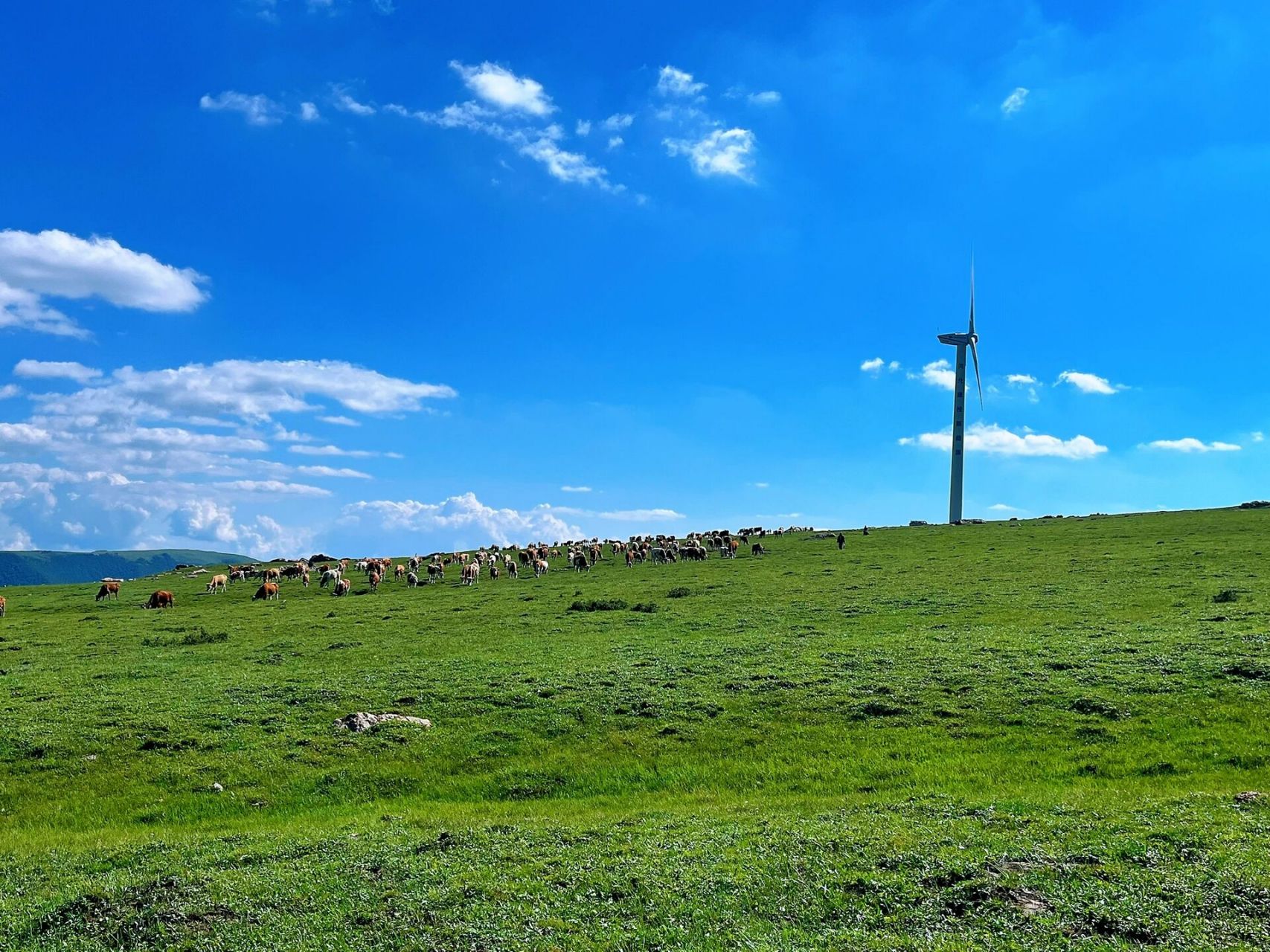 今天介绍的这个空中草原是蔚县:飞狐峪.空中草原.