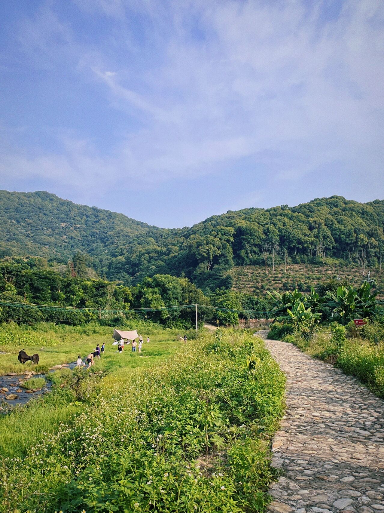 罗浮山酥醪村旅游攻略图片