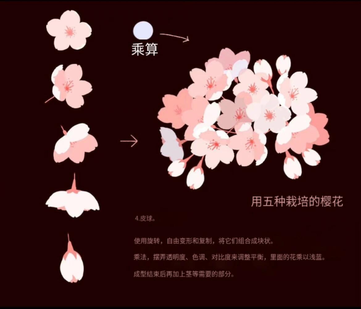 学到了 樱花的正确画法get78