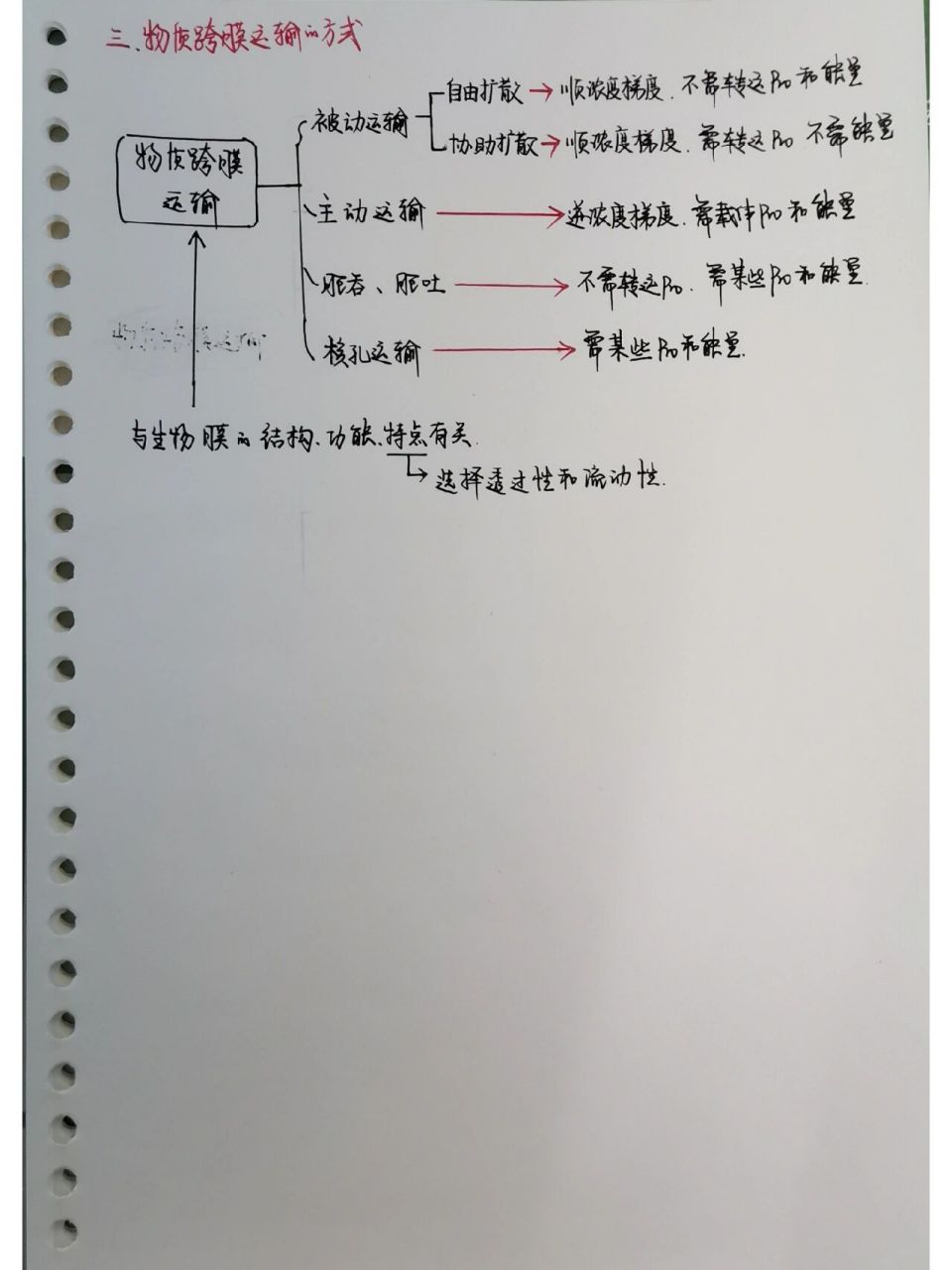 2主动运输和胞吞胞吐 生物老师日常笔记整理之必修一第四章2 笔记内容
