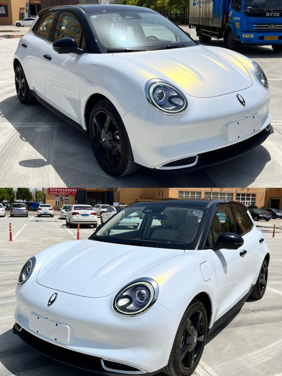 好猫改色96有一种颜色叫白变金 阳光7715洒满车面映出金色珠光