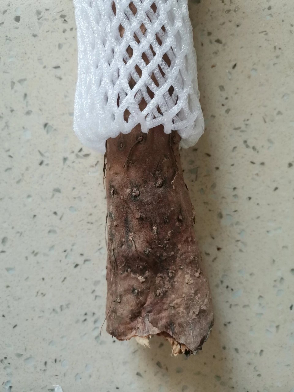 山药发霉,马上扔.