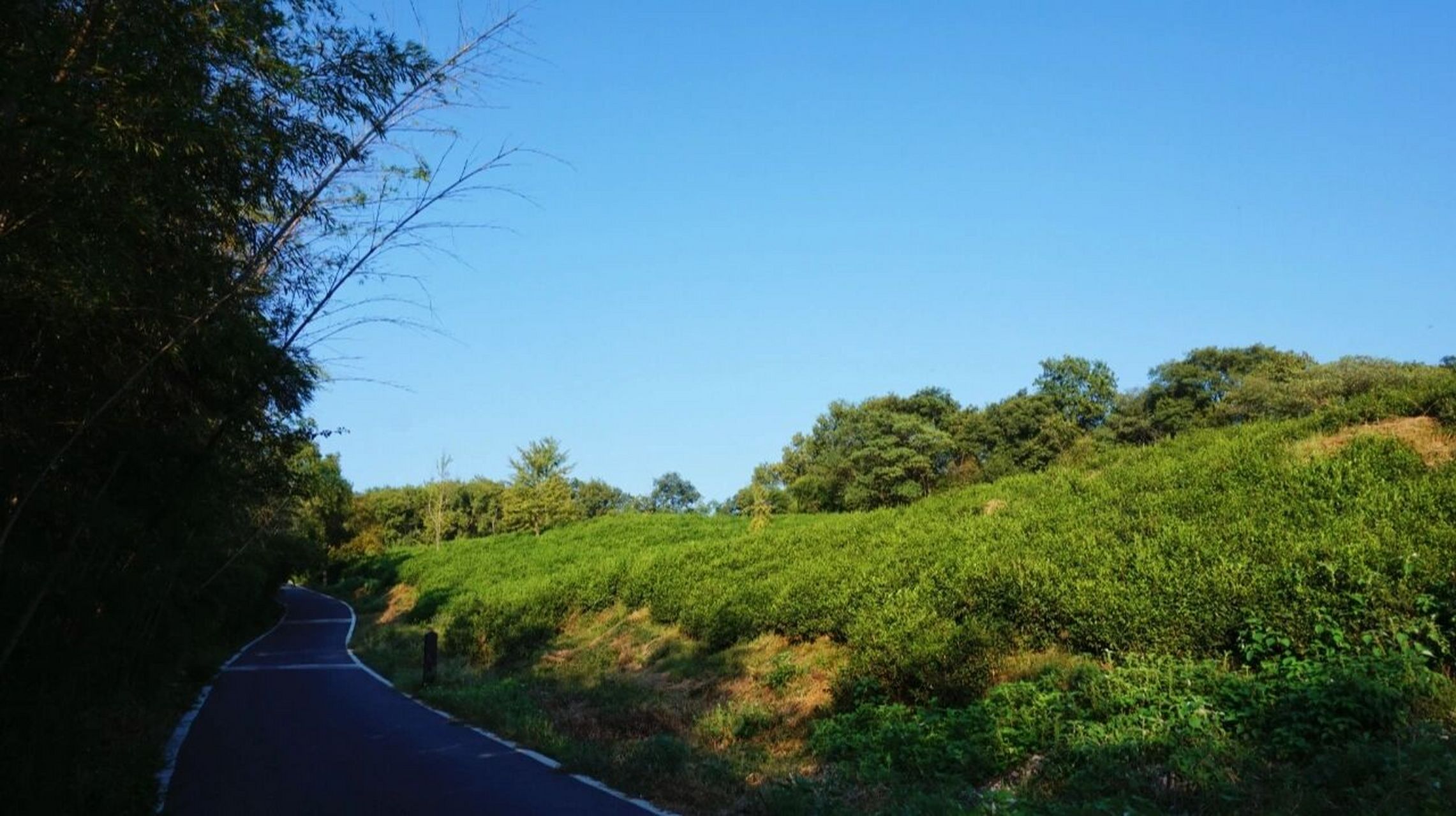 南京小众景点 | 六合灵岩山风景区 近期刷到灵岩寺被誉为"中国最有
