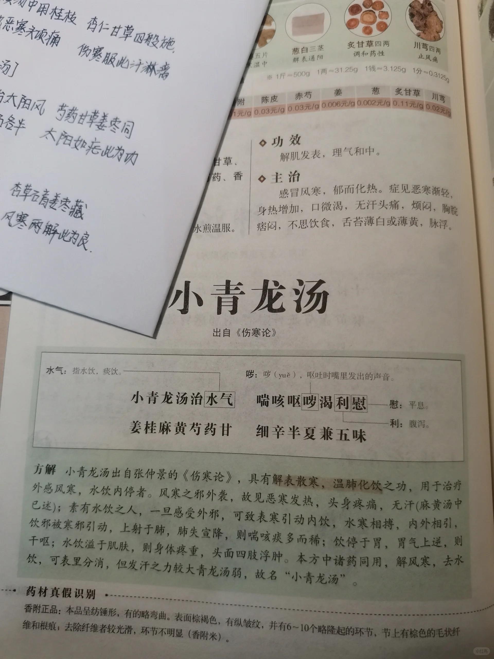 小青龙汤治水气图片