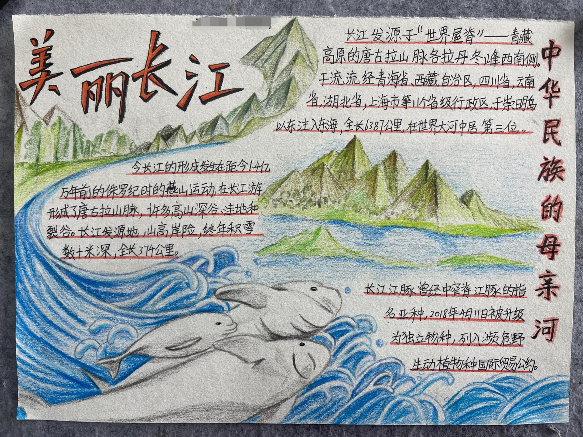 初中地理长江手抄报,手绘小报