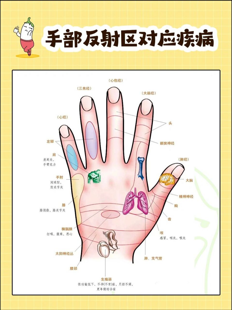 人体手部穴位图92对应作用!摸鱼必备